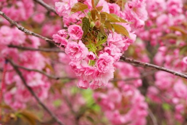 金华磐安5线下个人借款平台一站式服务，轻松解决资金难题