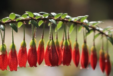 金华磐安5零用贷短借：轻松解决临时资金需求