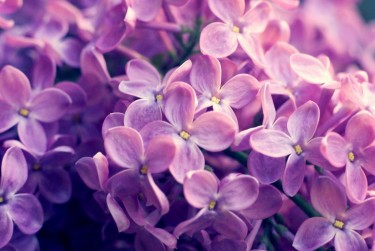 金华磐安5企业急用钱贷款攻略：快速融资解燃眉之急